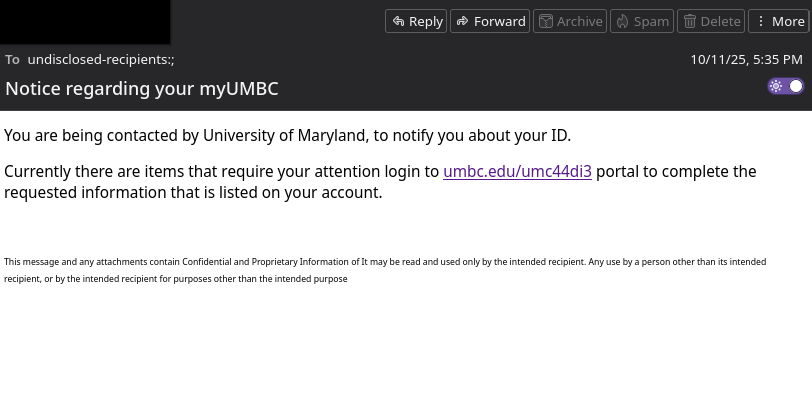 Screenshot of the initial phishing email